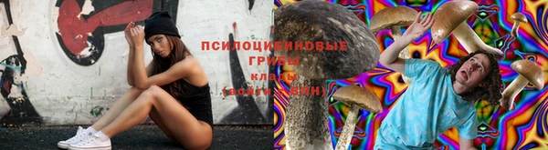 хмурый Покачи