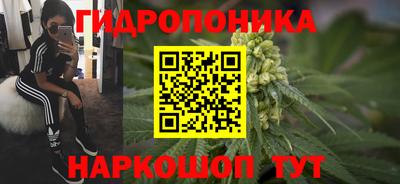 ешки Абакан