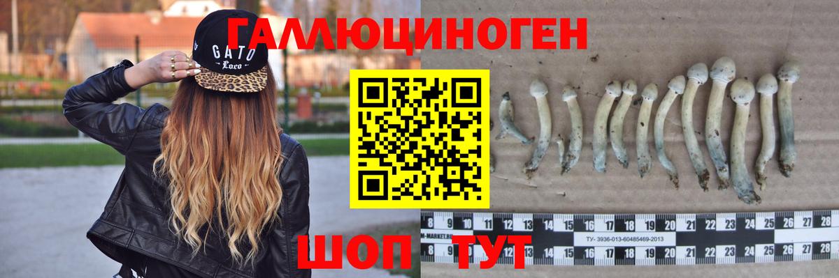 Алексин  Псилоцибиновые грибы прущие грибы  Вход с VPN 